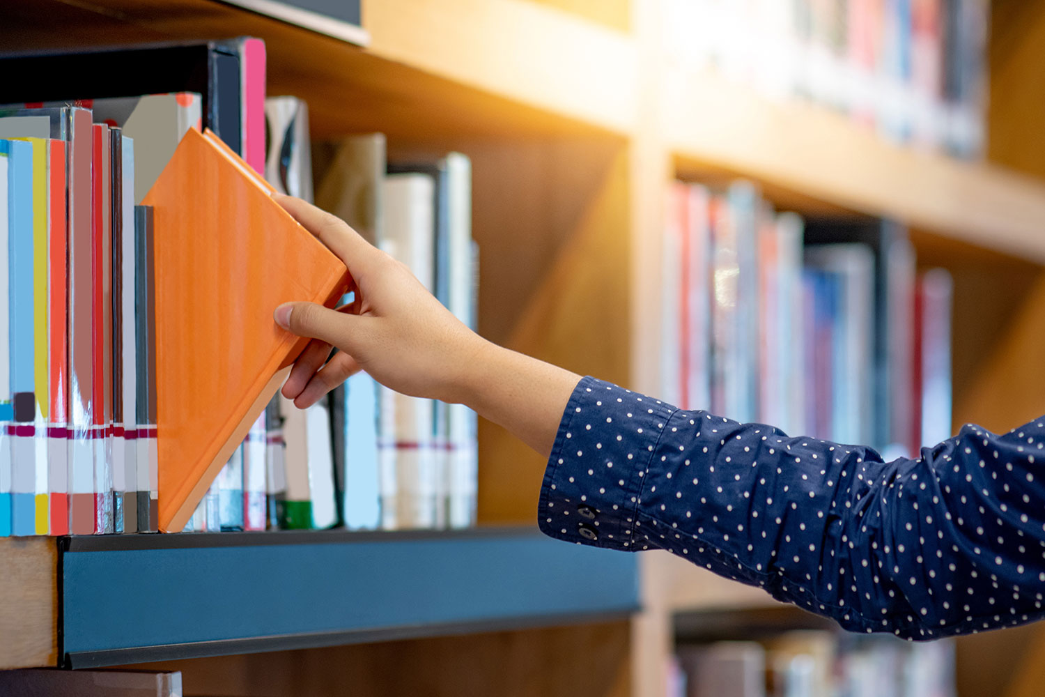 風が強く吹いている