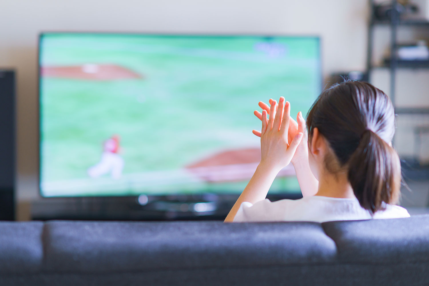やっぱり、TVって、おもしろい～プロ野球編～