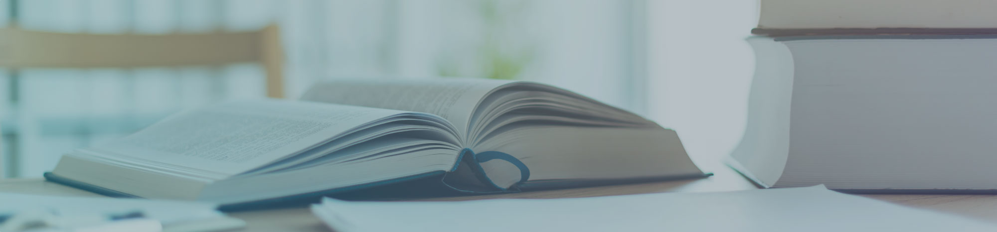 その他（弁護士会内研修、学校での出前授業等）